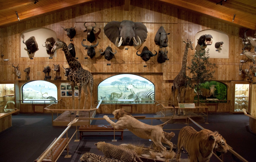 safari club exhibits