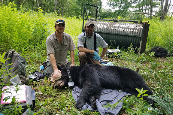 safari club international idaho