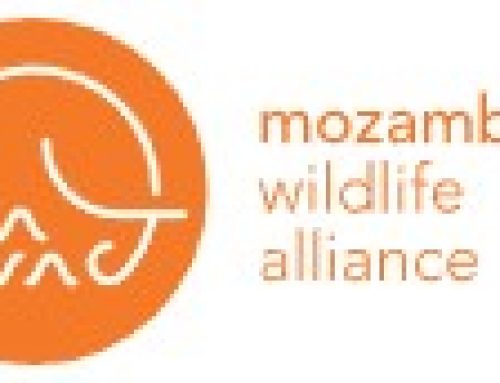 SCIF Announces Agreement with Mozambique Wildlife Alliance