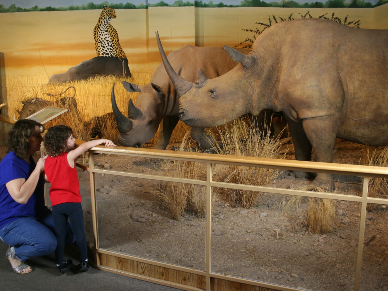 International Wildlife Museum Rhinos