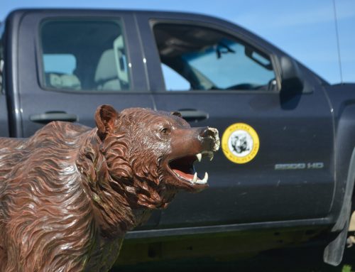 SCI Foundation and Partners Unveil Bear Safety Trailer and RoboBear in Montana