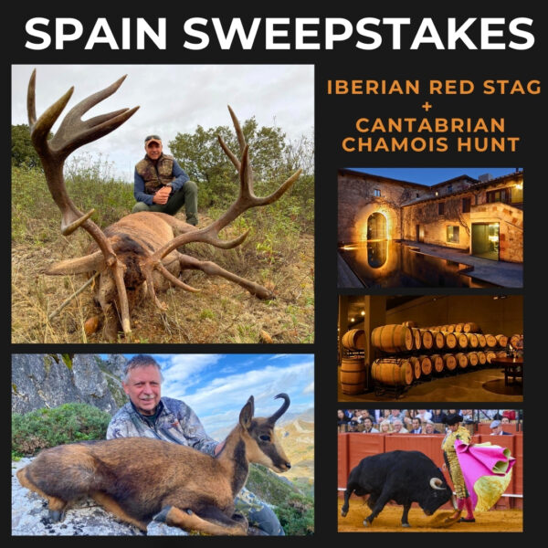 Spain Hunt and Cultural Experience Package: Cantabrian Chamois & Iberian Red Stag Hunt