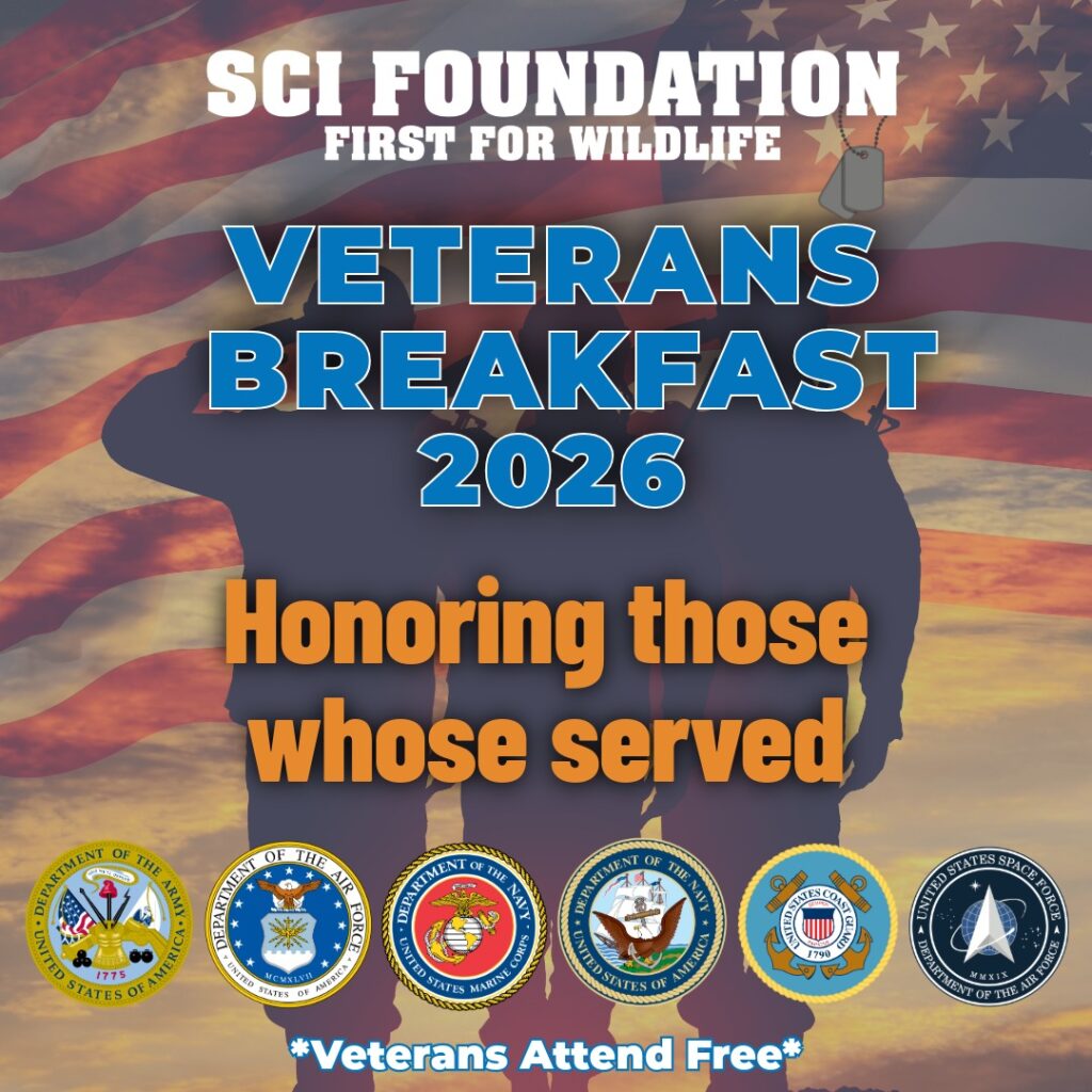 Veterans Program Cover- 2026 Square