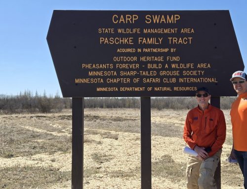 Conservation Matching Grant Adds 1,300 Acres to Sharp-tailed Grouse Habitat