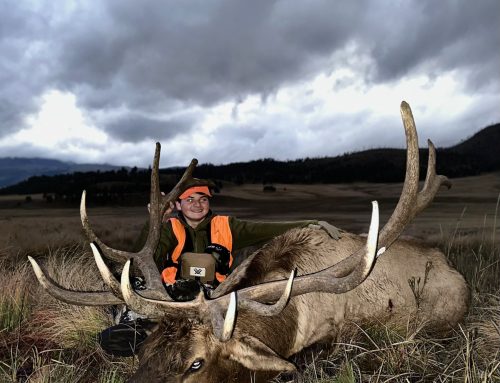 Elk Hunt in New Mexico Becomes a Symbol of Triumph for Youth Facing Life-Altering Health Struggles