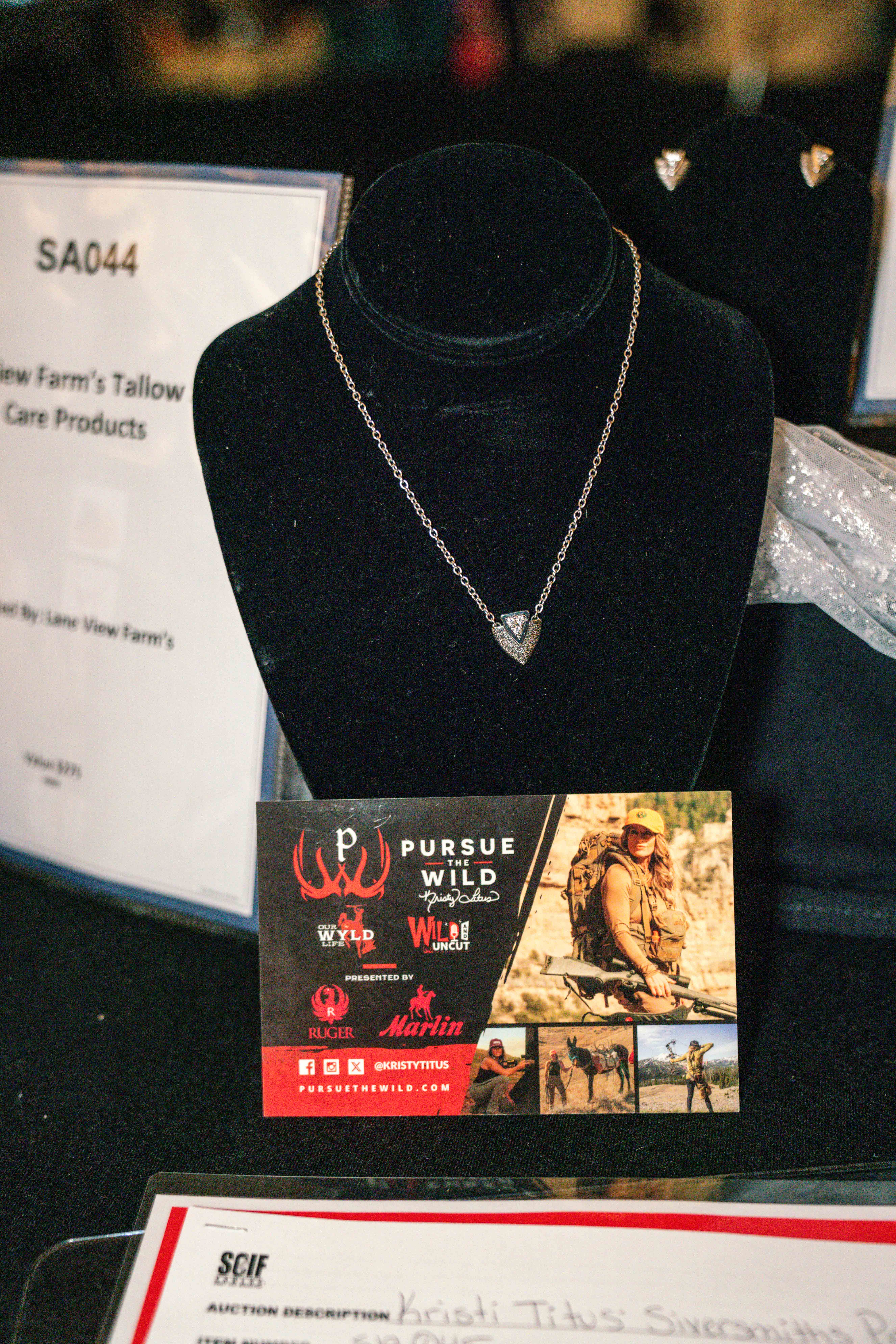 SilverlineFilms-SCI-2026-small-0203463